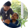 My Aged Care Services